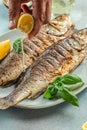 Baked sea Bass fish, grilled seabass with white wine. banner, menu, recipe place for text, top view Royalty Free Stock Photo