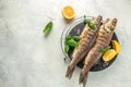 Baked sea Bass fish, grilled seabass with white wine. banner, menu, recipe place for text, top view Royalty Free Stock Photo