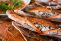 Baked sea crab seafood Royalty Free Stock Photo