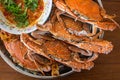 Baked sea crab seafood Royalty Free Stock Photo