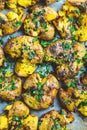 Baked smashed potatoes with herbs on baking sheet, top view Royalty Free Stock Photo