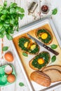 Baked spinach and egg sandwiches