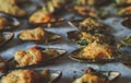 Baked stuffed fresh mussels Royalty Free Stock Photo