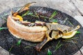 Baked sturgeon fish with rosemary, lemon and passion fruit on plate on wooden background close up Royalty Free Stock Photo