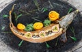 Baked sturgeon fish with rosemary, lemon and passion fruit on plate on wooden background close up Royalty Free Stock Photo