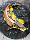 Baked sturgeon fish with rosemary, lemon and passion fruit on plate on wooden background close up.