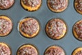 Baked sweet decorated muffins in tin form