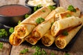 Baked taquitos with chicken and cheese close-up. horizontal