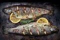 Baked trout fish with lemon and rosemary and spice on grunge metal plate still life