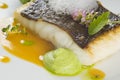 Baked turbot fillet on a white plate. Delicious fish meal with herbs and served with pea puree. Royalty Free Stock Photo