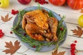 Baked whole chicken or turkey. Roasted homemade chicken with herbs. Thanksgiving day decoration Royalty Free Stock Photo