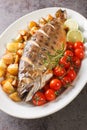 Baked whole fish arctic char served with fried potatoes, cherry tomatoes and lime close-up on a dish. Vertical