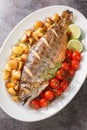 Baked whole fish arctic char with thyme and rosemary served with fried potatoes, cherry tomatoes and lime close-up on a dish.