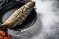 Baked Yellowtail, Japanese amberjack in a pan. Gray background. Top view. Copy space