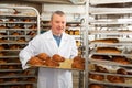 Baker arranging trays with bakery products on trolley Royalty Free Stock Photo