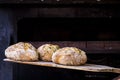 Baker baking fresh handmade bread in the bakery Royalty Free Stock Photo