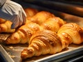 Baker with croissants. Oven-baked croissants on a baking metal tray. Baker checking freshly baked curd bagels or french croissants