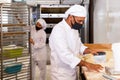 Baker dividing raw dough into equal parts in bakery