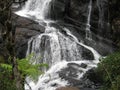 Baker falls, Ceylon