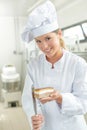 Baker finishing of a rectangular dessert Royalty Free Stock Photo