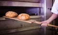 baker getting freshly baked bread out of bakery oven Royalty Free Stock Photo