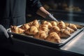 baker holding a metal tray full of fresh croissants illuminated with a lovely light from the window. Ai generative