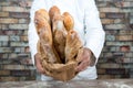 Baker holding traditional bread french baguettes Royalty Free Stock Photo