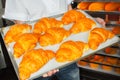 Baker holds fresh croissants in hands on sheet