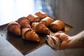 Baker holds tray with croissants in bakery oven