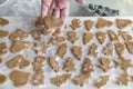 Baker preparing a batch of traditional Christmas cookies by placing uncooked cookie dough on a tray