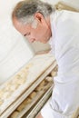 Baker preparing trays bread rolls Royalty Free Stock Photo