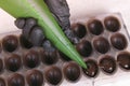 Baker`s hands pouring liquid chocolate filling praline in form from pastry bag.