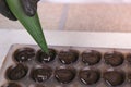 Baker`s hands pouring liquid chocolate filling praline in form from pastry bag. Royalty Free Stock Photo