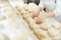 Baker`s hands preparing the dough for baking bread . Royalty Free Stock Photo