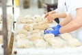 Baker`s hands preparing the dough for baking bread . Royalty Free Stock Photo