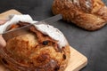 Baker slice sourdough bread with bread knife on dark cement background.