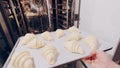 Baker takes out raw croissants from the proofer and sets them to bake in combi steamer. Rising dough