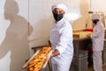 Baker taking baked bread out of oven on wooden shovel Royalty Free Stock Photo