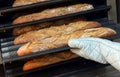 Baker taking a loaf of freshly baked bread Royalty Free Stock Photo