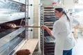 Baker woman getting bread out of bakery oven Royalty Free Stock Photo