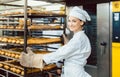 Baker woman pushing sheets with bread in the baking oven Royalty Free Stock Photo