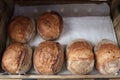 Six loafs of bread in a baskek freshly cooked