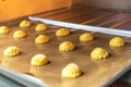 Bakery baker preparing bread cooking in the oven.Bakery close up holding a peel with freshly baked.Activity during quarantine home Royalty Free Stock Photo