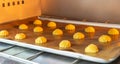 Bakery baker preparing bread cooking in the oven.Bakery close up holding a peel with freshly baked.Activity during quarantine home Royalty Free Stock Photo