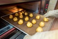 Bakery baker preparing bread cooking in the oven.Bakery close up holding a peel with freshly baked.Activity during quarantine home Royalty Free Stock Photo