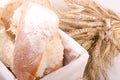 Bakery Bread with sheaf of Wheat Ears on white Royalty Free Stock Photo