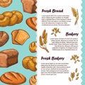 Bakery, cafe menu, flyer template with vector bread and loaf