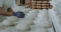 In the bakery commercial kitchen working fast bakers forming pieces of dough for baking bread in the oven they using the Royalty Free Stock Photo