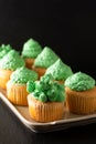 Bakery concept Homemade Sponge vanilla cupcake green tone buttercream on black background with copy space