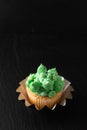 Bakery concept Homemade Sponge vanilla cupcake green tone buttercream on black background with copy space